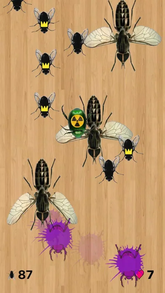 Pesky Flies 스크린샷