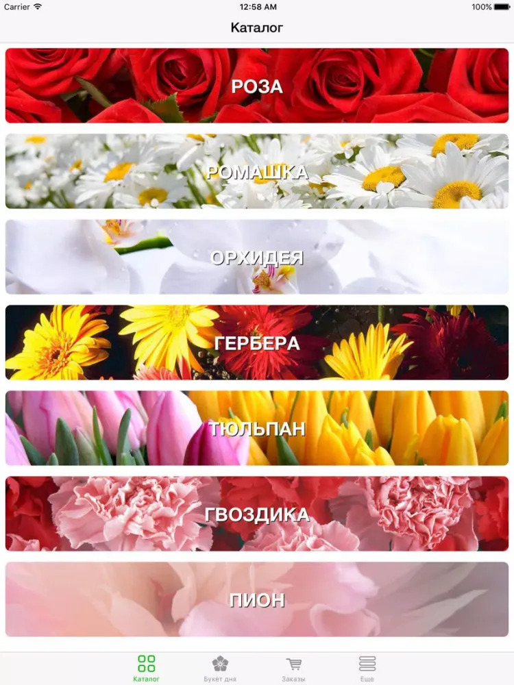 InstaFlower - купить цветы и букеты с бесплатной доставкой! iPad  স্ক্রিনশট