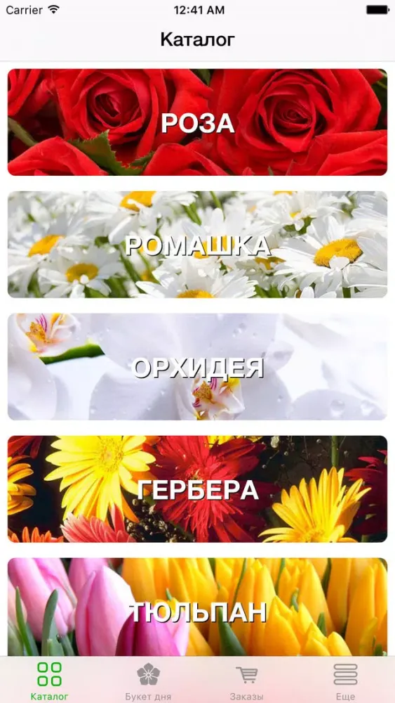 InstaFlower - купить цветы и букеты с бесплатной доставкой! স্ক্রিনশট