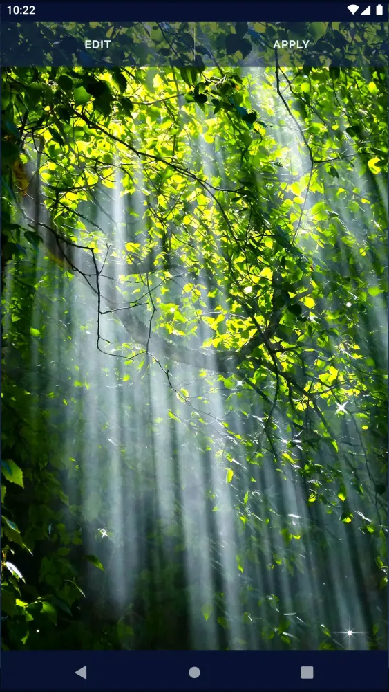 Tree Forest Live Wallpaper Screenshots