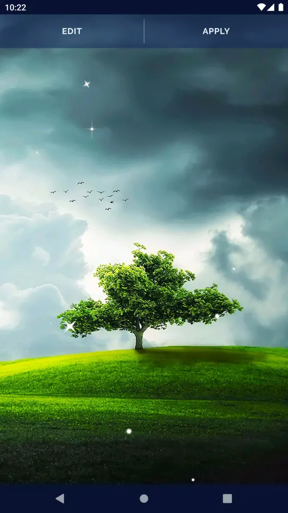 Tree Forest Live Wallpaper Screenshots