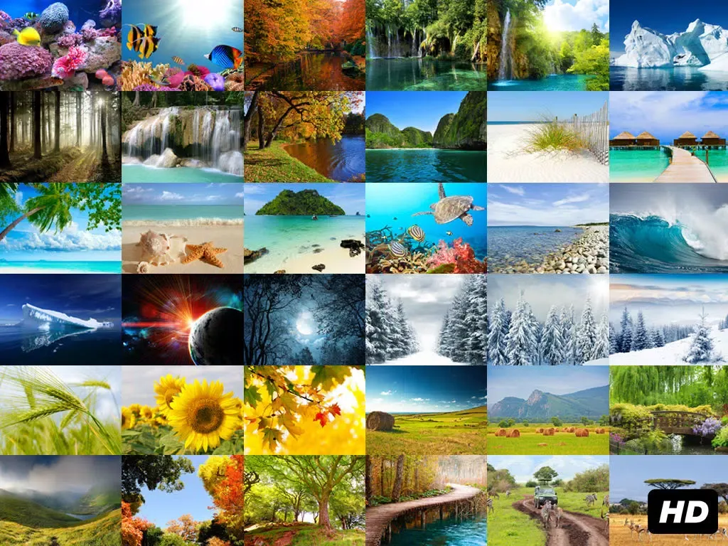 Captures d'écran de Nature - Jigsaw and sliding puzzles iPad 