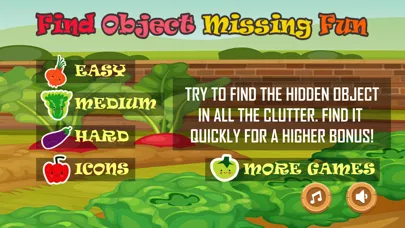 تصاویر Find Object Missing Fun