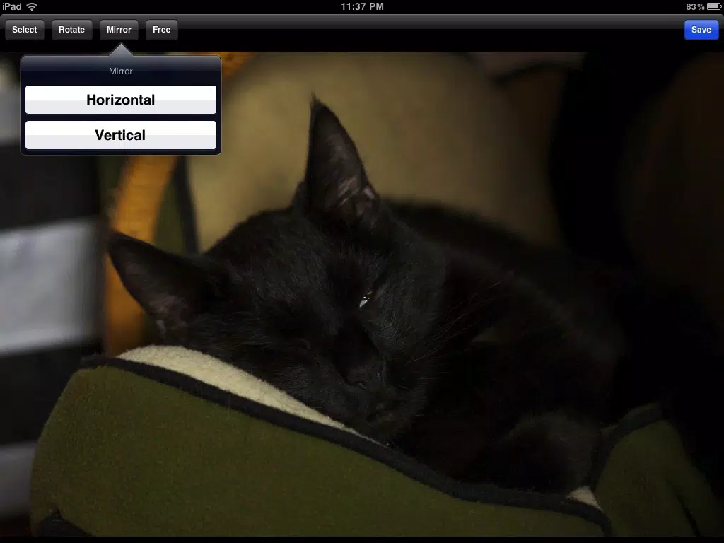 Photo Rotate iPad 应用截图