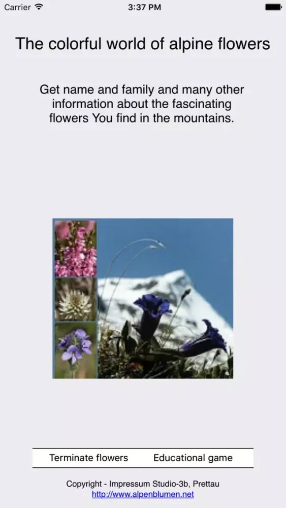 The colorful world of alpine flowers Ekran Görüntüleri