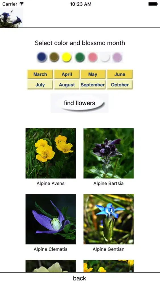 The colorful world of alpine flowers Ekran Görüntüleri