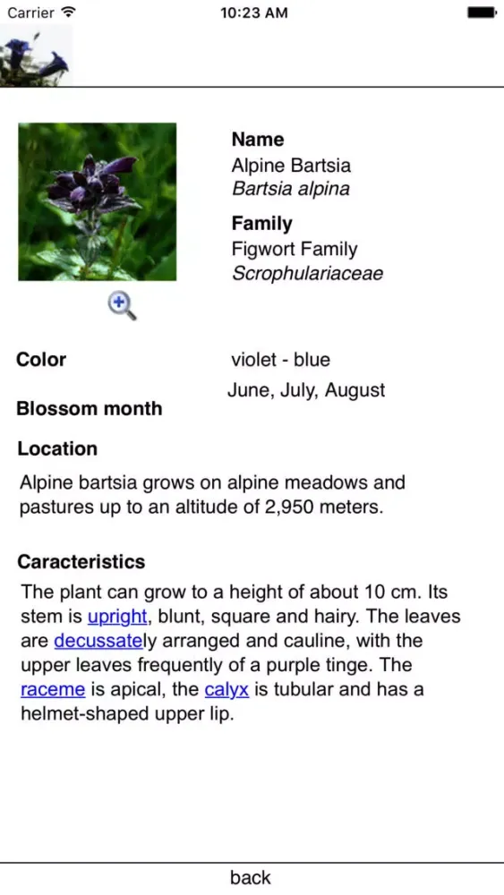 The colorful world of alpine flowers Ekran Görüntüleri