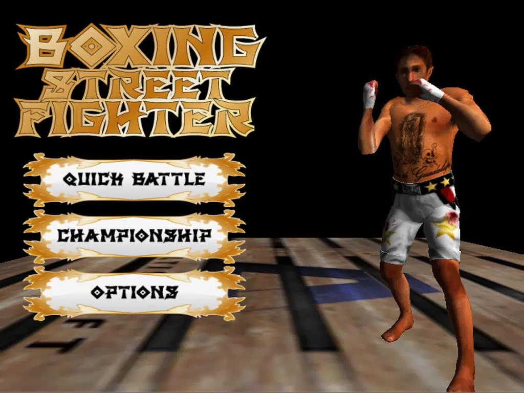 Boxing Street Fighter iPad  স্ক্রিনশট