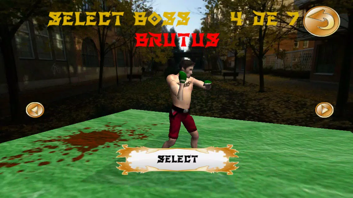 Boxing Street Fighter স্ক্রিনশট