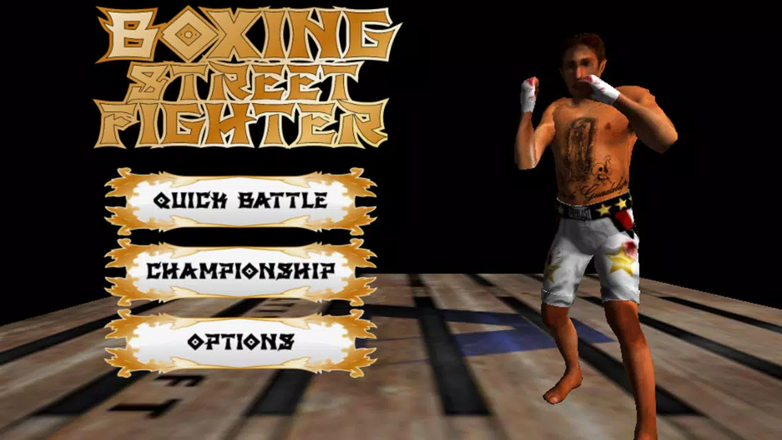 Boxing Street Fighter স্ক্রিনশট