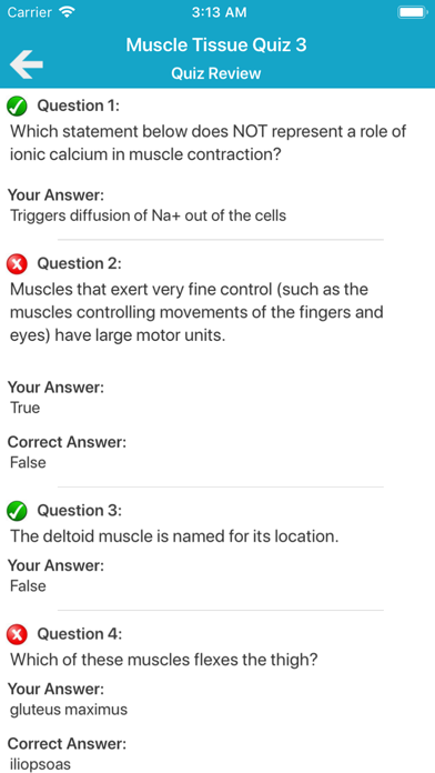 Muscular System Quizzes IPA for iOS Download - PGYER IPAHUB