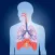 Respiratory System Quizzes