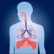 Respiratory System Quizzes Respiratory System Quizzes