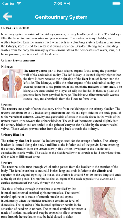 Tangkapan skrin The Human Body Systems