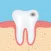 Dental Anatomy Quizzes