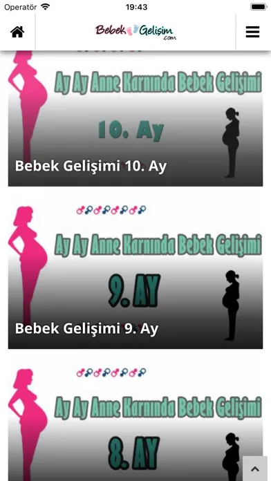 Bebek ve Gelişim スクリーンショット