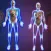 Exámenes del Cuerpo Humano