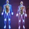 Exámenes del Cuerpo Humano