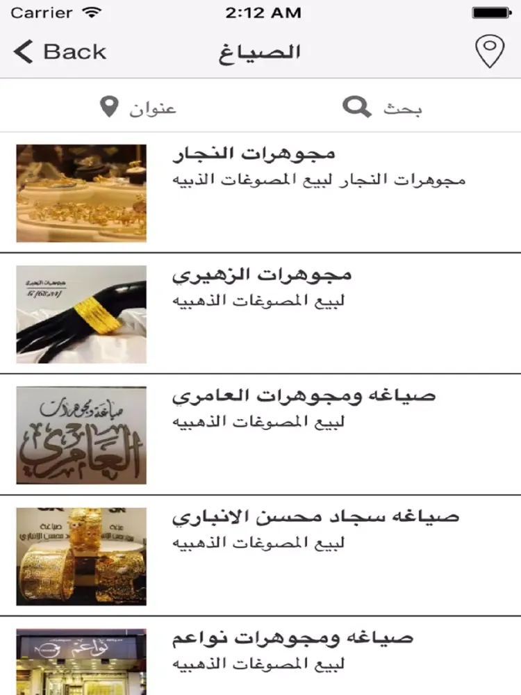 دليل الصياغ iPad 应用截图
