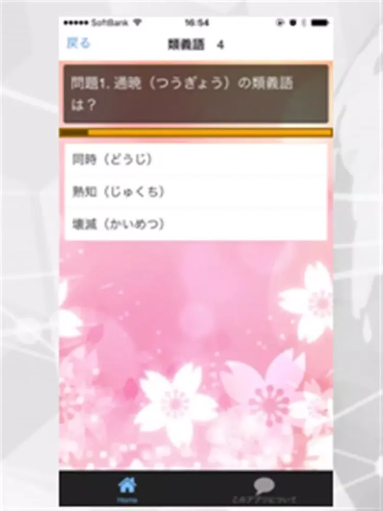 漢字検定2級ー類義語・試験対策 iPad 应用截图