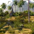 Paleontology & Fossils Quizzes