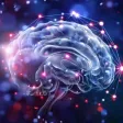 Psychology Quizzes Psychology Quizzes