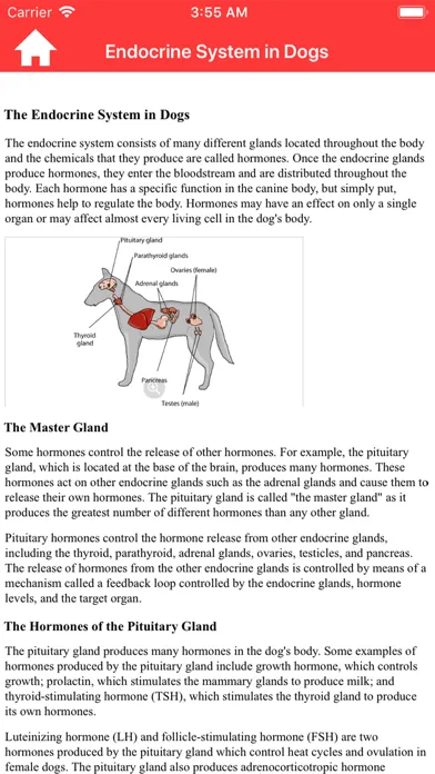ภาพหน้าจอของ Vet Manual
