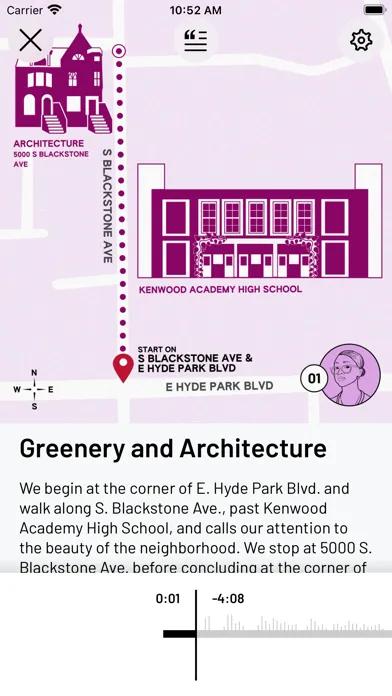 تصاویر Chicago Strolls