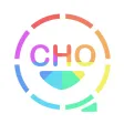 Chief Happiness Officer (CHO) Chief Happiness Officer (CHO)