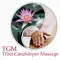 TGM Tibet Ganzkörper Massage