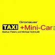 Gronauer TAXI + Mini-Car