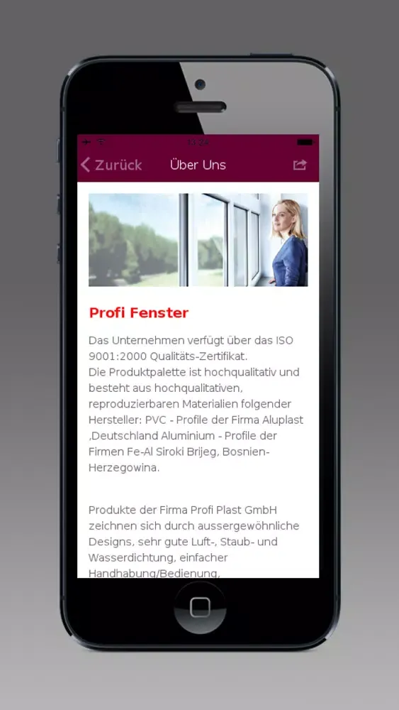 Profi Fenster স্ক্রিনশট