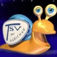 TSV Aurich 1967