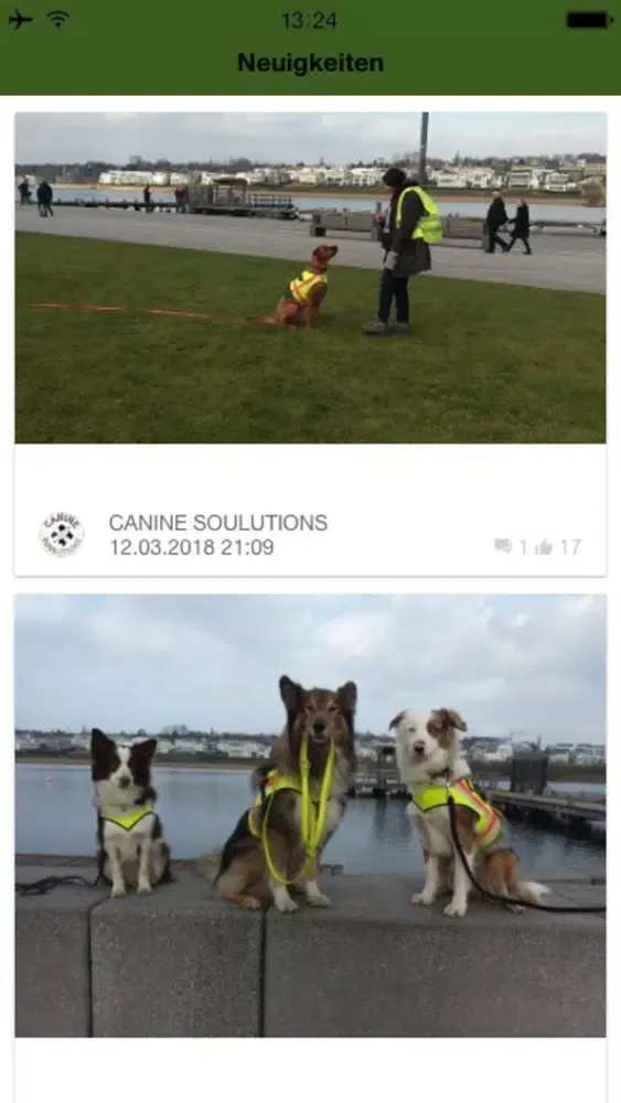 ภาพหน้าจอของ Canine Soulutions