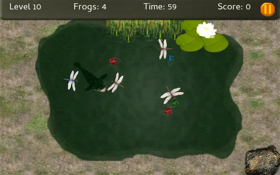 Baby Frogs - Frog Wrangling應用截圖