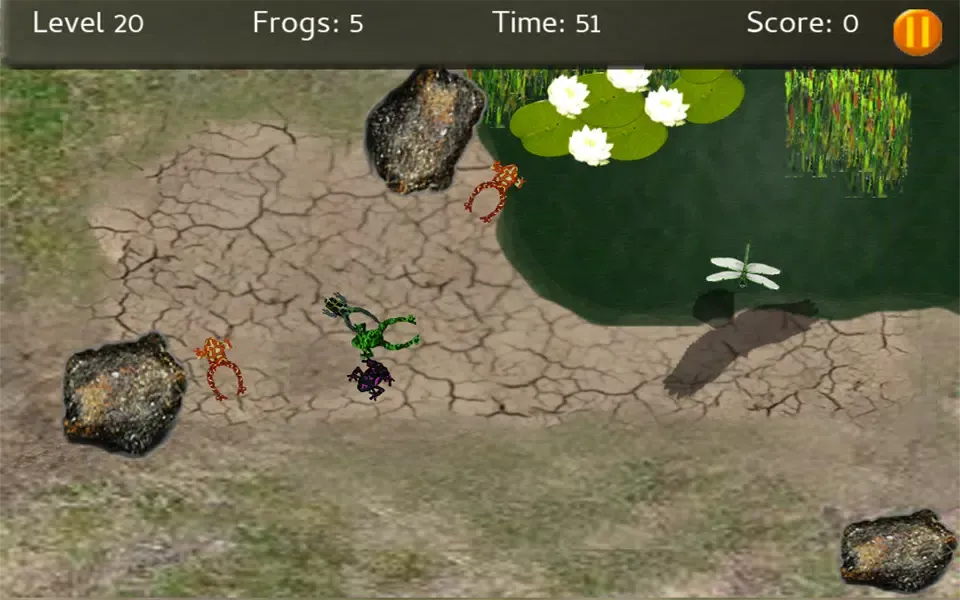 Baby Frogs - Frog Wrangling應用截圖