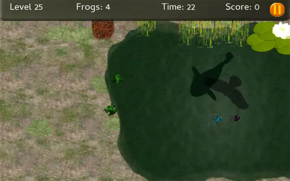 Baby Frogs - Frog Wrangling應用截圖