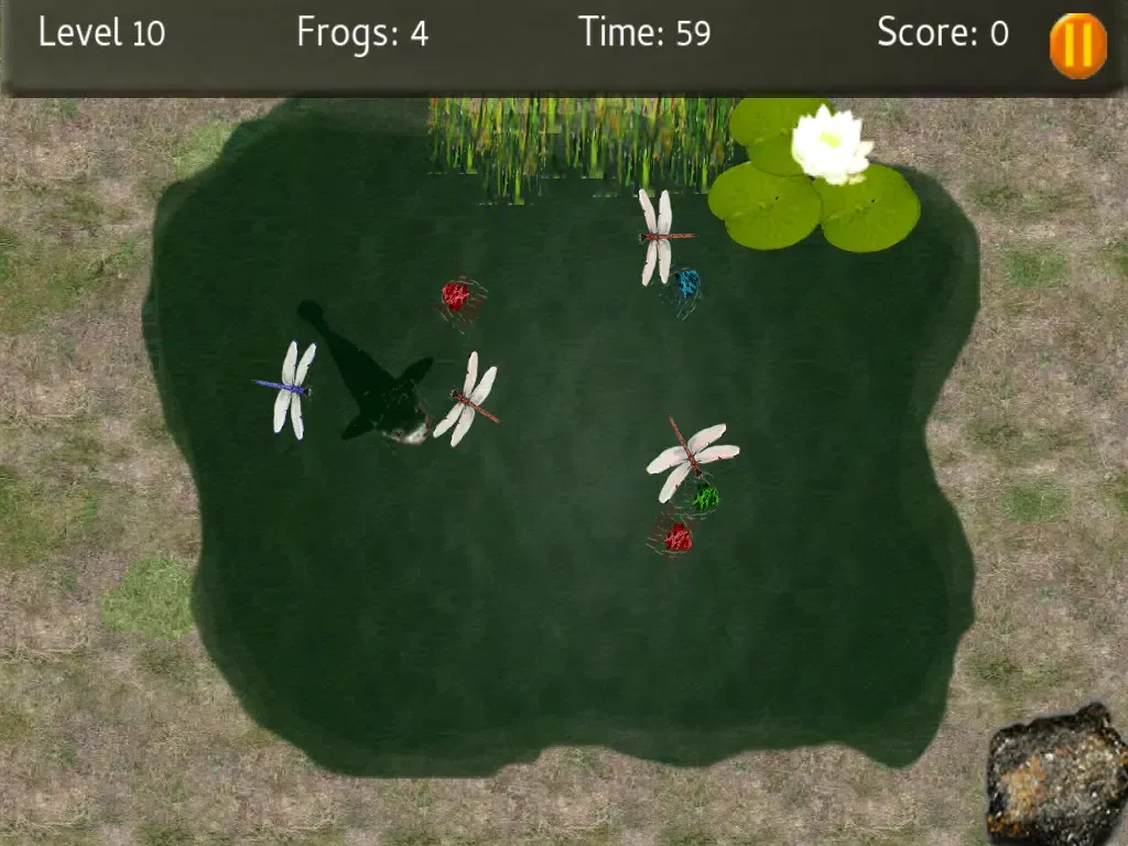 Baby Frogs - Frog Wrangling應用截圖