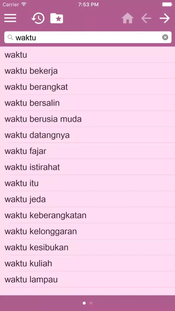 Danish Indonesian dictionary 스크린샷