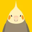 Animated Bird Stickers - Tori no iro