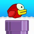 Chatty Duck Chatty Duck