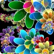 AppyFlo