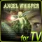 ANGEL WHISPER 【SmartTV Box対応版】