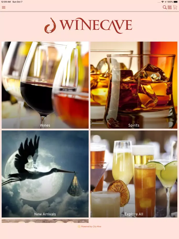 صور The Wine Cave iPad 