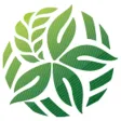 IX Congresso ANDAV
