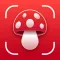 Mushroom Identifier: Fungi