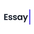 Essay Writer