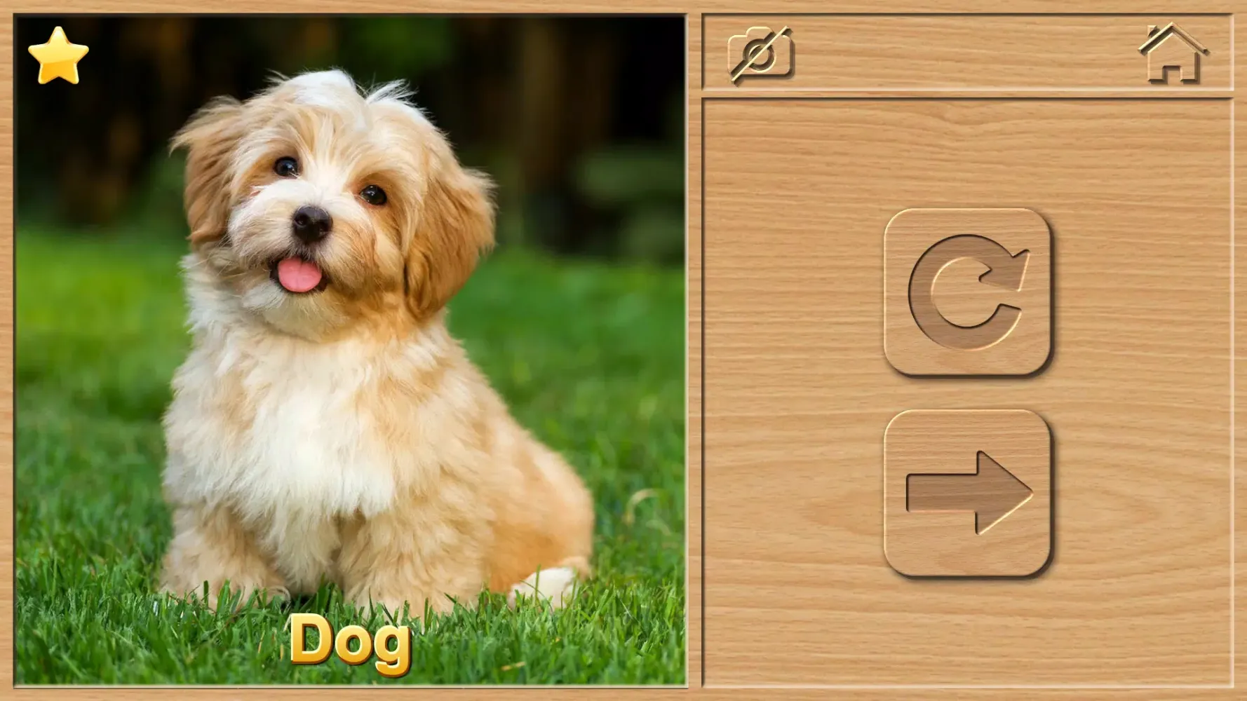 Animal Puzzles Screenshots