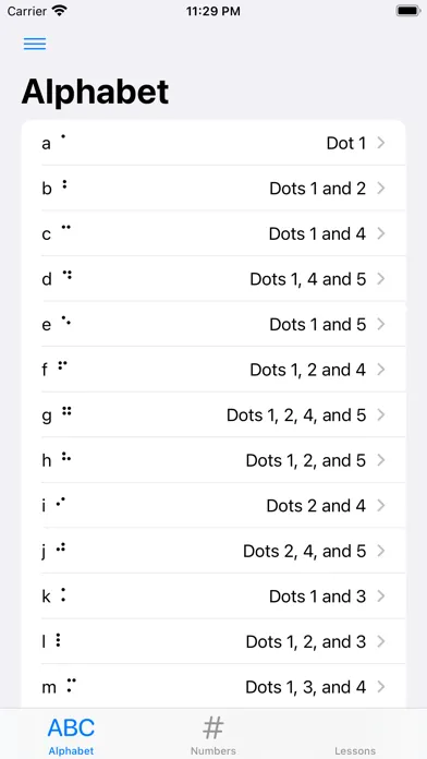 CT Braille Lite Screenshots