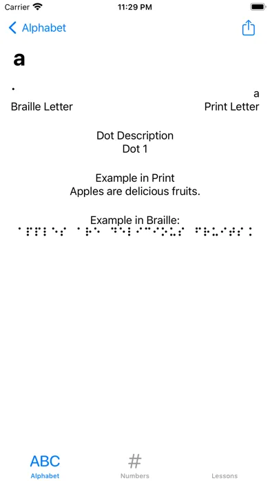 CT Braille Lite Screenshots